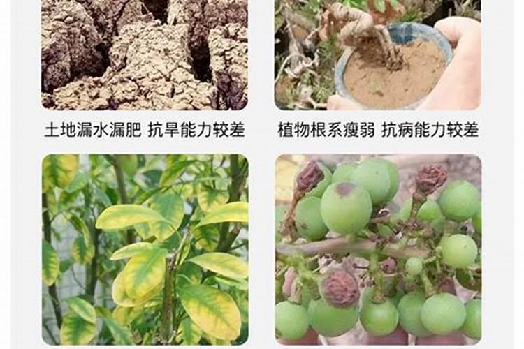 黄腐酸钾对植物有什么作用？