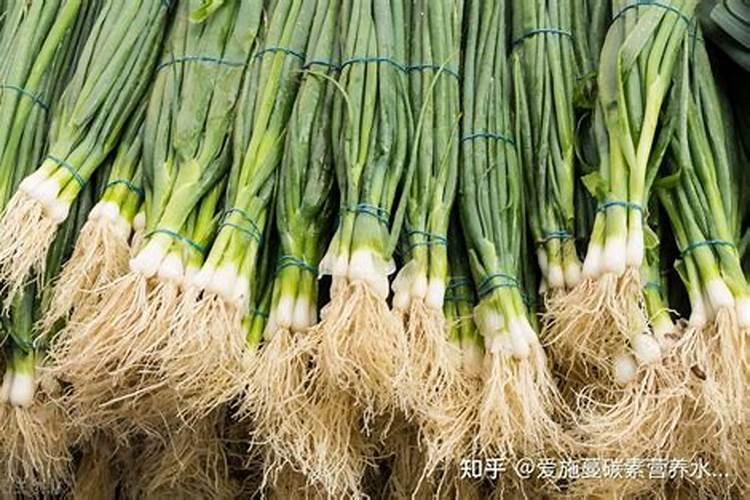 小香葱用什么肥料长得快