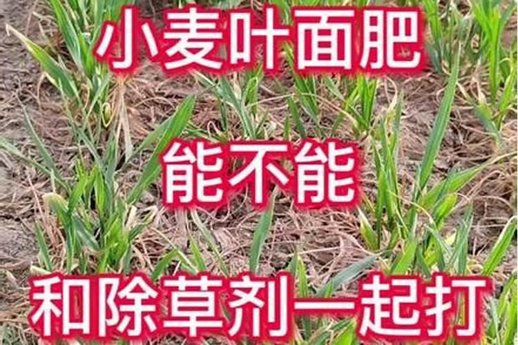 赤霉素、芸苔素、多效唑用法大汇总!