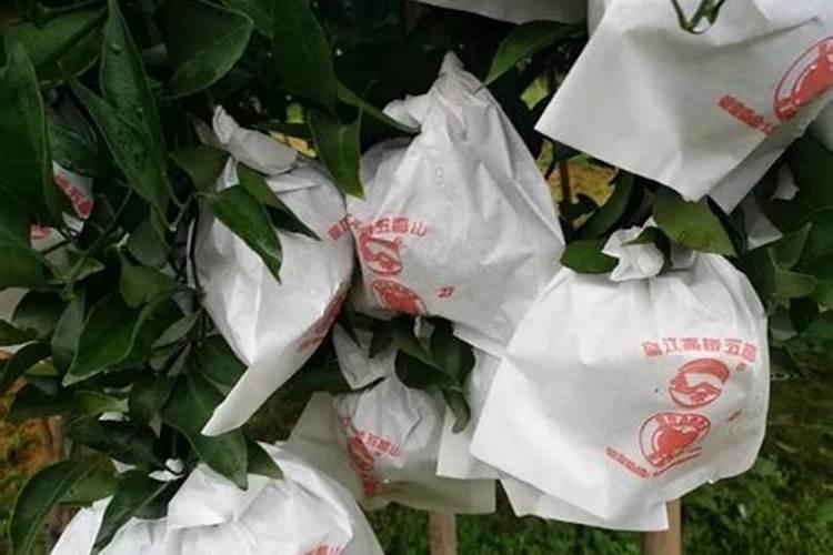 试举例说明微生物在自然中氮素循环的作用。