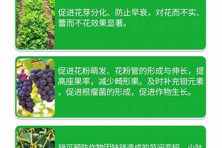 种花生用什么肥料最好高产