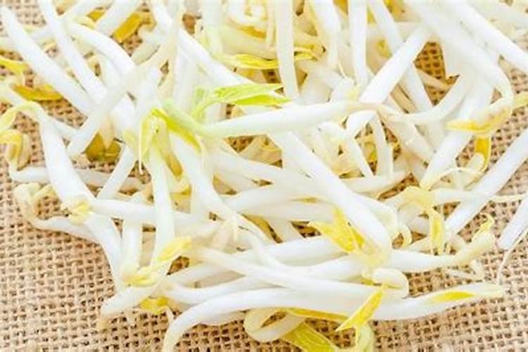 怎么生绿豆芽粗壮不生根