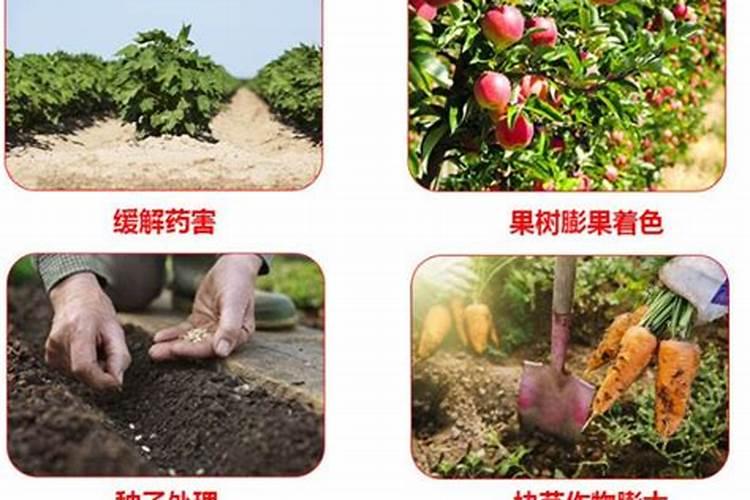 28高芸苔素内脂亩用量