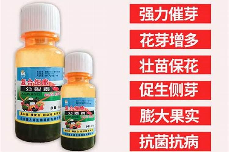 枣树用什么叶面肥增产、着色效果最好,应该什么时候用？