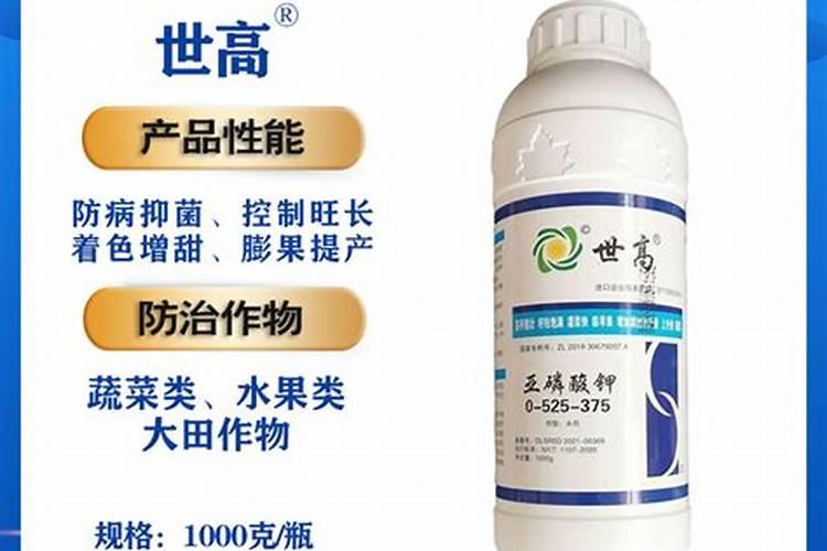 水果玉米6到9叶期喷施什么叶面肥和防病虫药