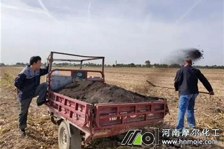 撒过草木灰之后可以加肥料吗？