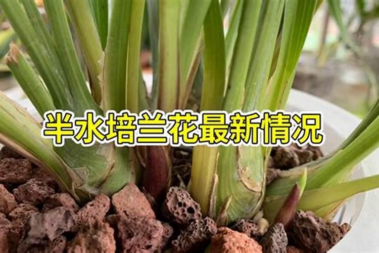 水溶肥的正确使用方法和用量