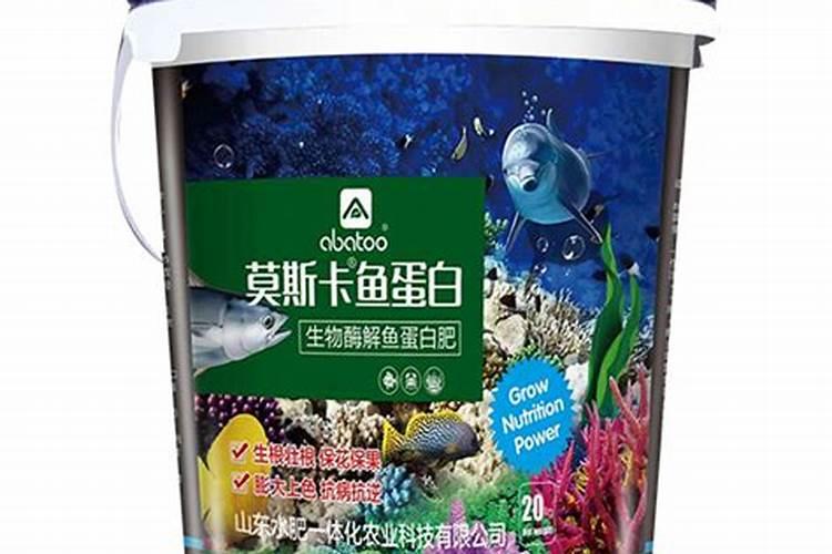 金秋砂糖桔着色了可以淋鱼蛋白水吗