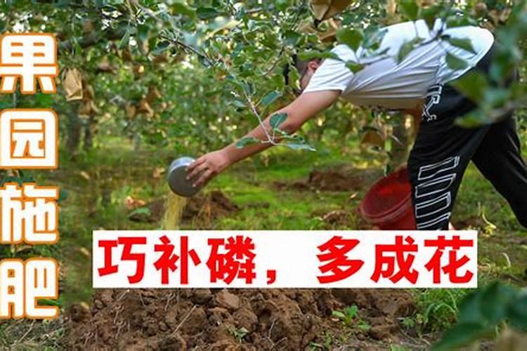 一亩地上了200斤磷肥怎么办