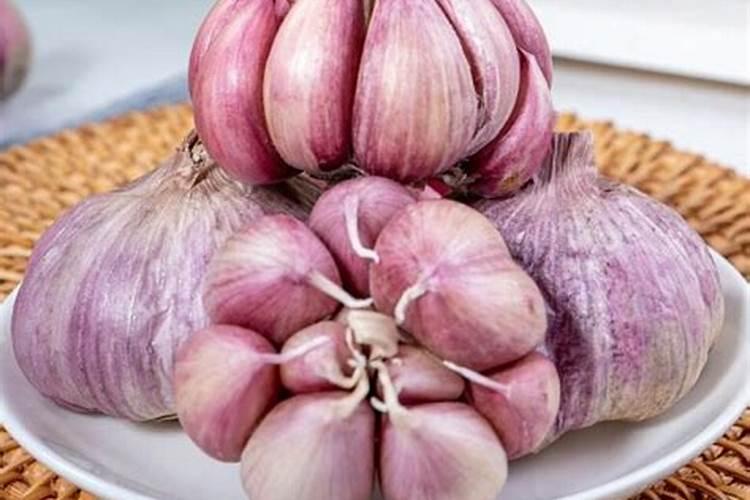 大蒜疫病的防治方法