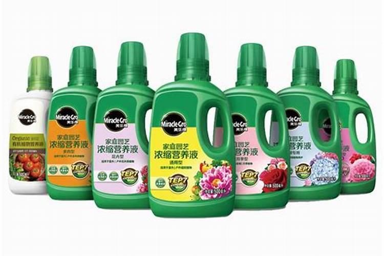 【碳哥课堂】种月季用什么样的水溶肥好？