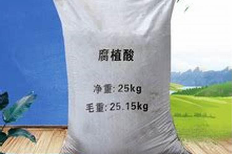 全国最大腐植酸生产厂家