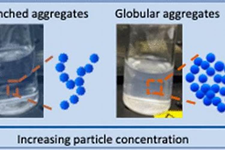 什么是木薯预糊化淀粉？