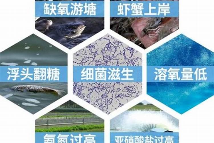 地下水氨氮 高锰酸盐超标是什么引起的