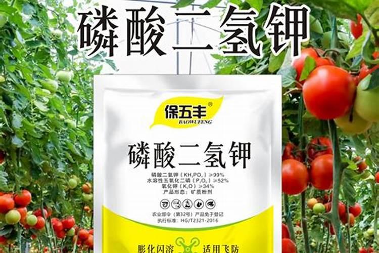 河南水溶肥十大名牌