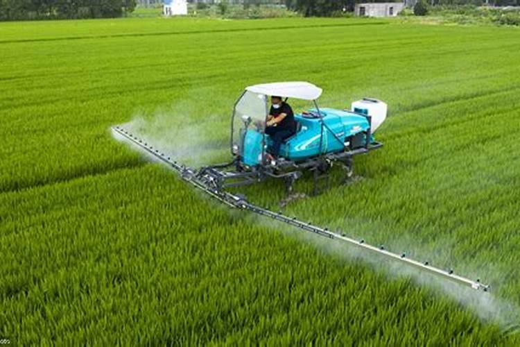 水稻后期能用钾肥吗