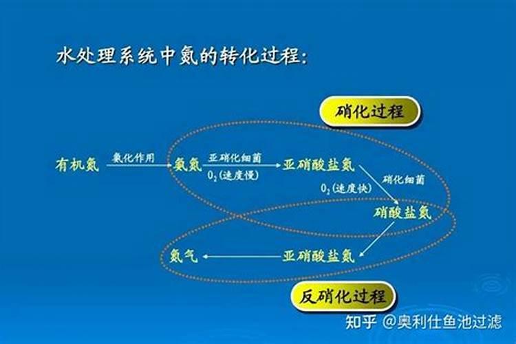 硝酸盐是什么肥料