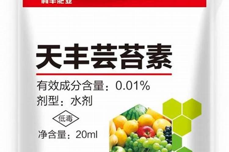 芸苔素内酯481在枣树上如何使用