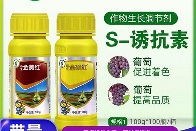 红提葡萄叶子红怎么回事？