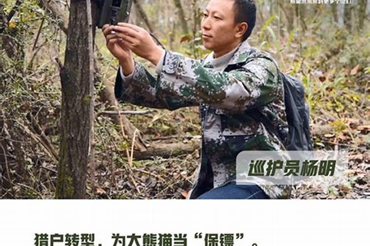 大树移栽后多久能施肥？