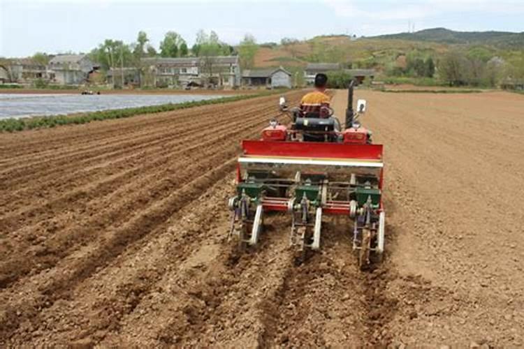 在冬春季碳铵的肥效比尿素更好,为什么？