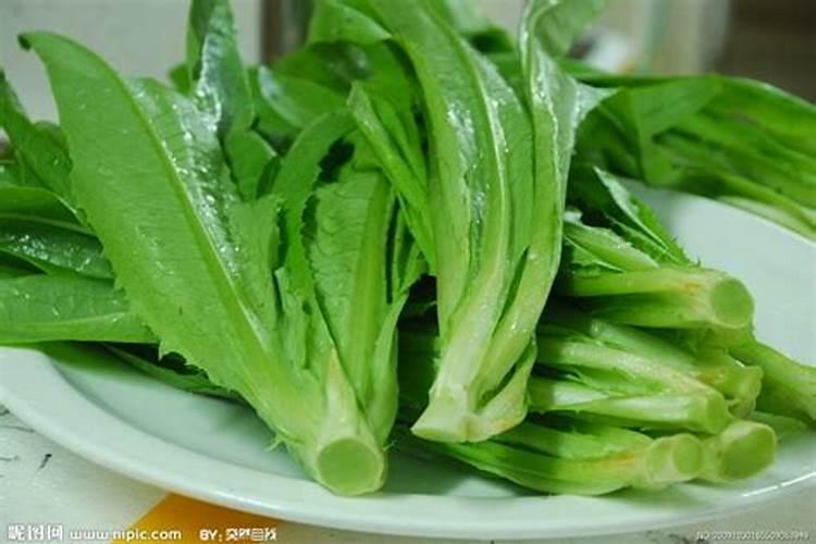 油麦菜用什么药控旺最好