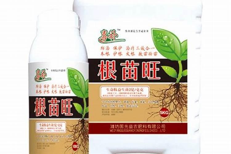 草莓旺长怎么办？用什么水溶肥好？