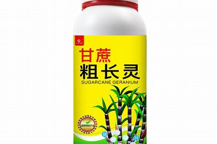 甘蔗有哪些营养价值 怎样种甘蔗才能又大又甜