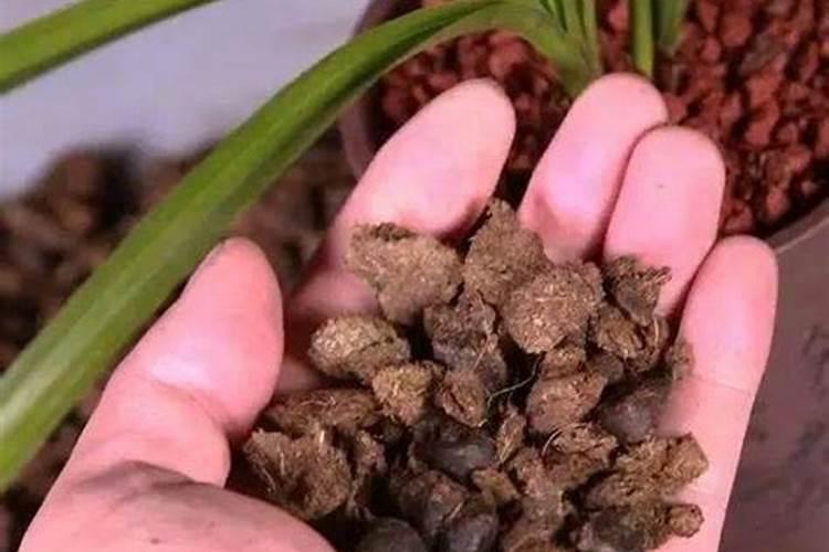 复合肥放多了怎么补救