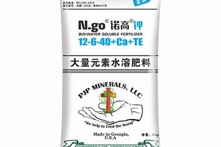 招财树叶子发黄怎么办 为什么招财树的叶子发黄怎么办