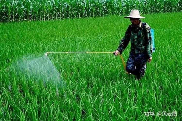 葡萄第一次打硼,钙,锌叶面肥什么时候