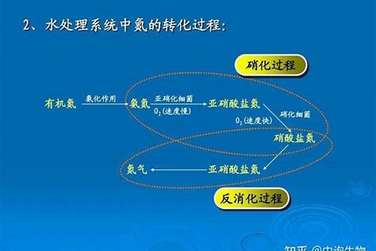 怎样快速降解水中的氨氮