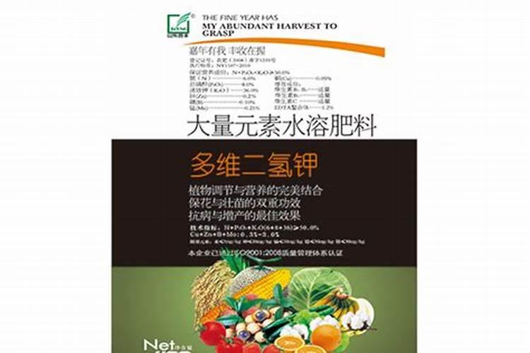 草坪上用什么水溶肥