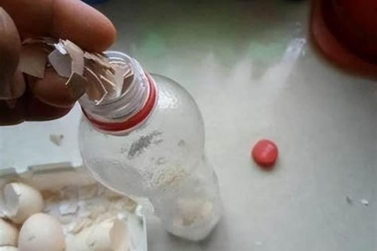 鸡蛋壳怎么做花肥 鸡蛋壳如何做花肥