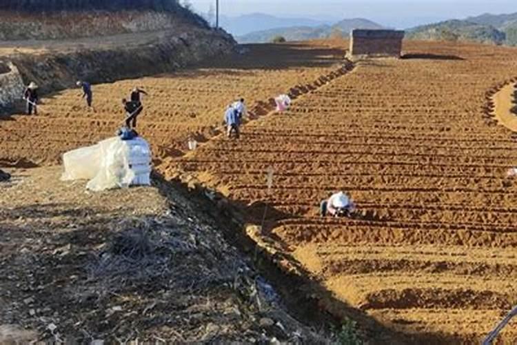 按春夏秋冬排序: 播种,采桑,积肥,除草,打谷,插秧,耕田