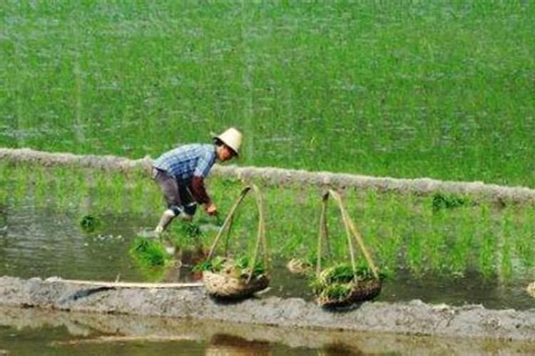 四个季节的主要农事活动分类