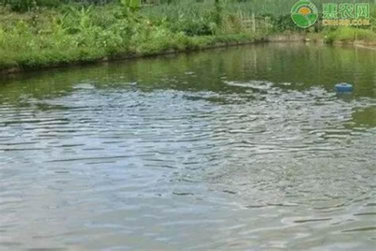 硫酸钾的用量一亩用多少 硫酸钾的用量一亩用多少合适