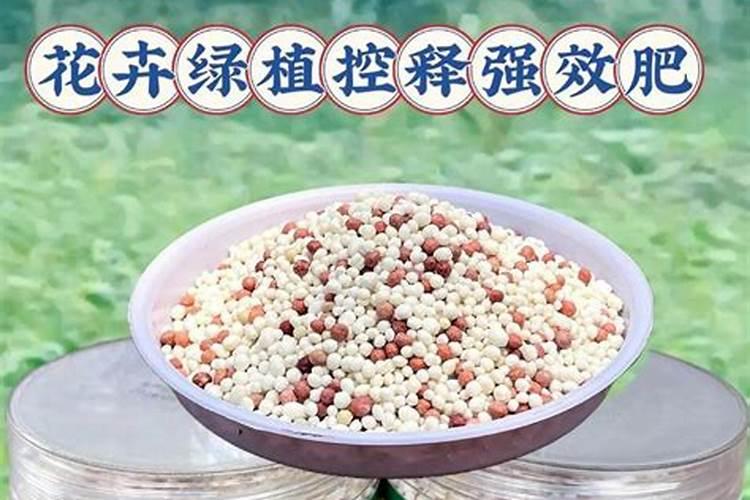 怎么养花最好 养花的氮肥有哪些