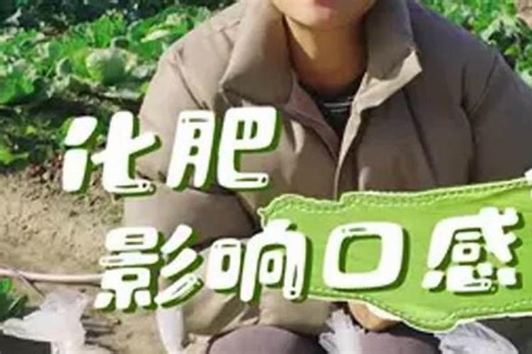 现在很多人在家里种菜,觉得比较绿色环保,这和超市里的菜有什么区别？