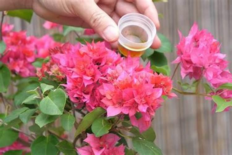 水中的有机物质有什么？