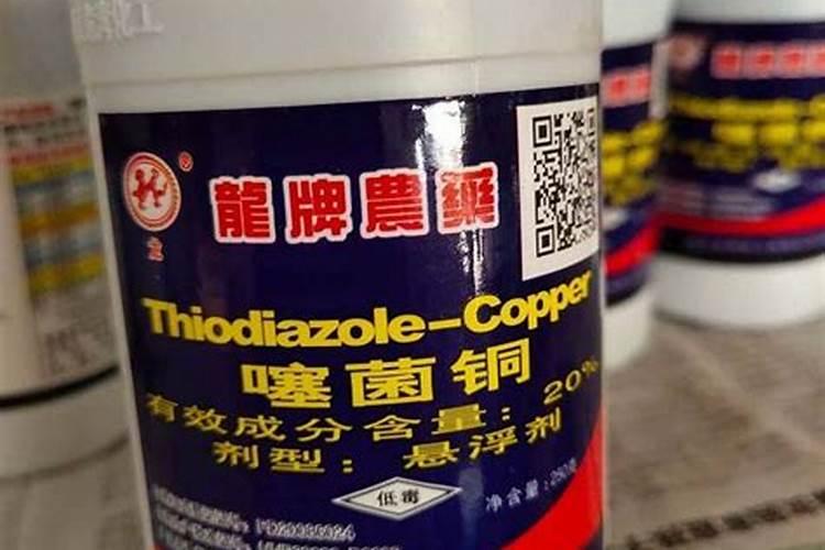 养蜈蚣草要注意什么