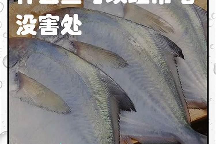 鱼蛋白放多了会烧根吗