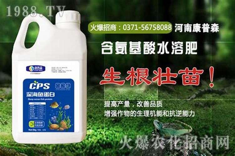 鱼蛋白自制配方比例