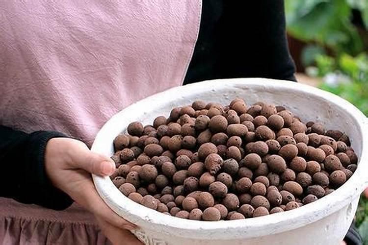 养花的高效复合肥可以放在水养绿萝的水里么