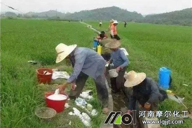 钙肥种类那么多,你知道哪些？