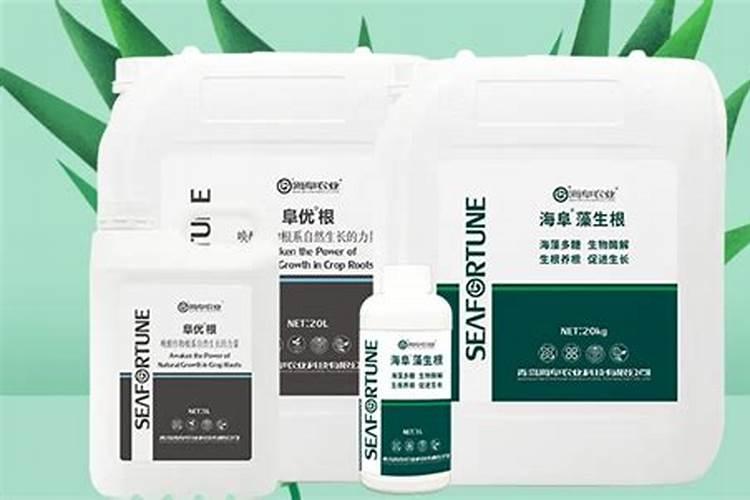 生根壮根的肥料有哪些