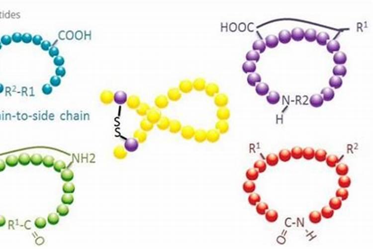 多肽有机氮肥是什么