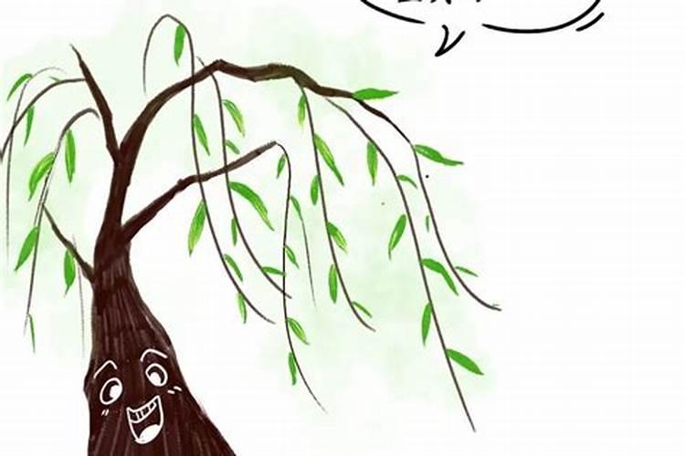 家家都有的“营养水”,浇虎尾兰,叶子翠绿挺拔