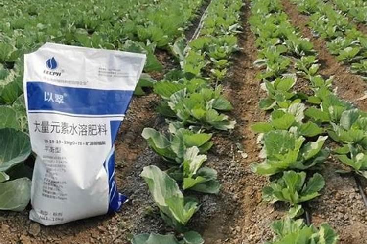 水溶肥十大名牌