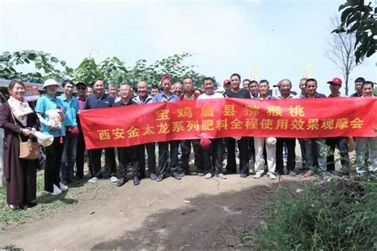 金太龙叶面肥专用哪些植物